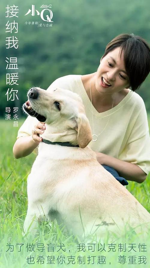 购买假的安全培训合格/证书